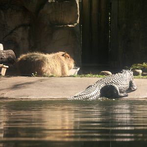 2013 Temaiken Bioparc