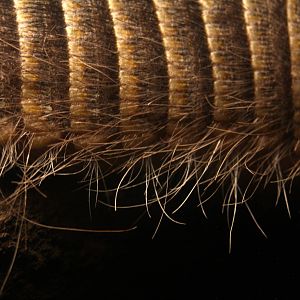 2013 Temaiken Bioparc