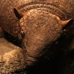 2013 Temaiken Bioparc