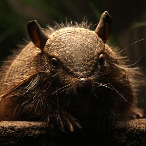 2013 Temaiken Bioparc