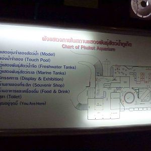 Aquarium map, June 2013.