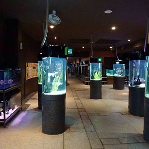 Freshwater tanks, June 2013.