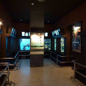 Example of a side display, June 2013.