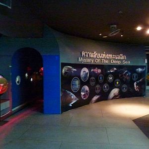Deep sea exhibit, June 2013.