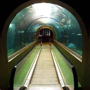 Underwater tunnel, June 2013.