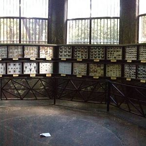 2013 Zoo de Buenos Aires