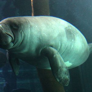 2013 Sao Paulo Aquarium