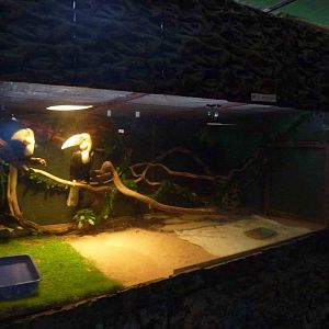 Hornbill enclosure, June 2013.