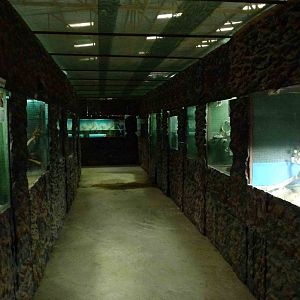 View of the path, June 2013.