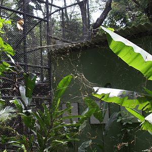 spider webs everywhere!