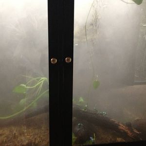South American Rainforest- Misty Dart Frog Exhibit