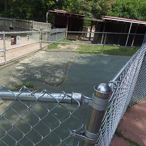 New England Farmyard- Oddly Placed New Fencing