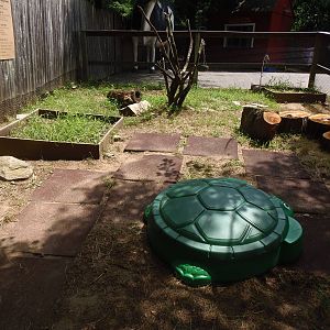 New England Farmyard- Enrichment Playground
