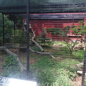 Alligator Alley- Gray Fox Exhibit