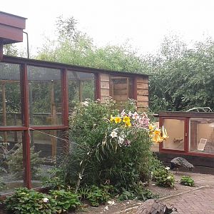 Snowy owl aviary and mongoose/spurred tortoise enclosure