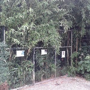Aviaries for Hoopoe, Turaco and Blue pies