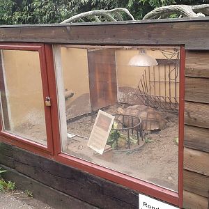 Indoor-enclosure for Spurred tortoise and Mongoose
