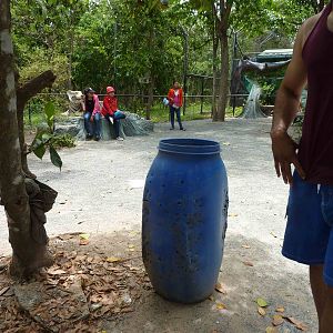 Interesting dustbins, May 2013.