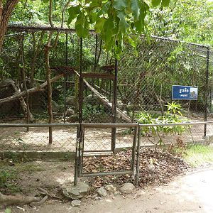 Leopard enclosure, May 2013.