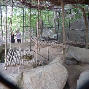 Python enclosure, May 2013.