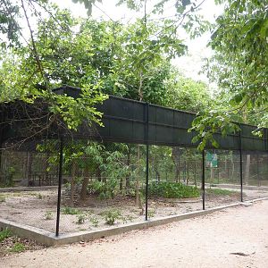 Leopard cat enclosure, May 2013.