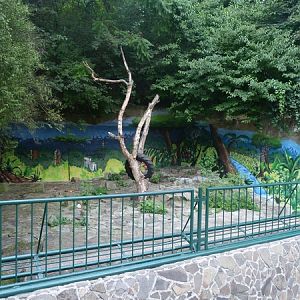 Brown bear enclosure