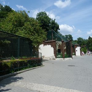 Caracal enclosure and big cats row