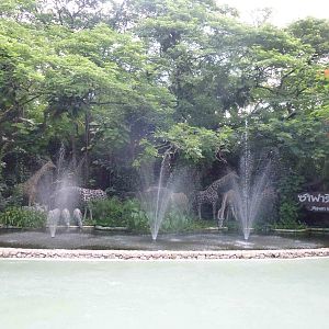 Giraffe fountain at entrance, June 2013.