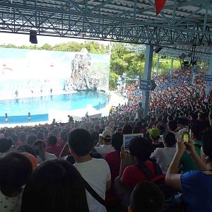 Dolphin stadium, June 2013.