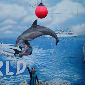 Dolphin show, June 2013.