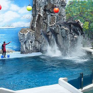 Dolphin show, June 2013.