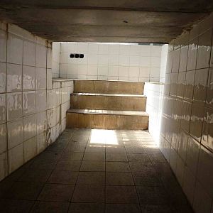 Tunnel into Tiger greenhouse, June 2013.