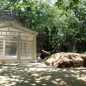 Tiger enclosure, June 2013.