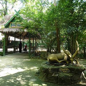 Nyala farm, June 2013.