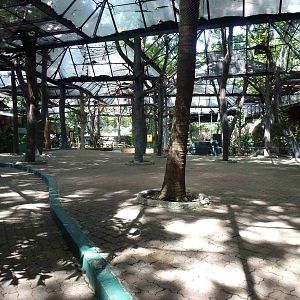 Mini world aviary, June 2013.