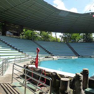 Sealion stadium, June 2013.