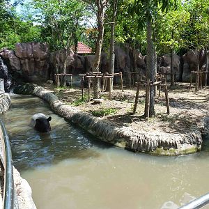Malayan tapir enclosure, June 2013.