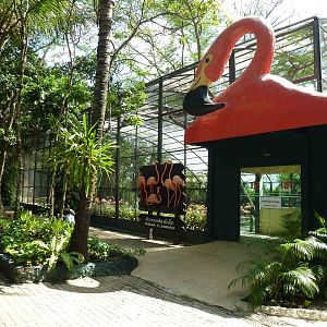 Flamingo aviary, June 2013.