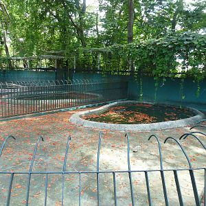 Giant crocodile enclosure, June 2013.