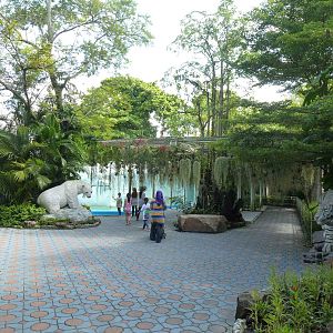 White world, June 2013.