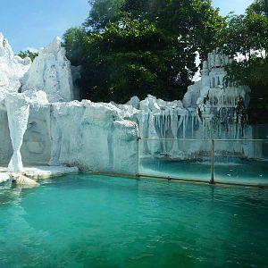 Polar bear enclosure, June 2013.