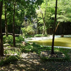 White tiger enclosure, June 2013.
