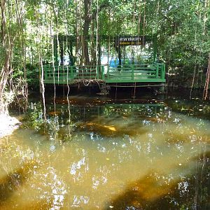 Giant fish viewing platform, June 2013.