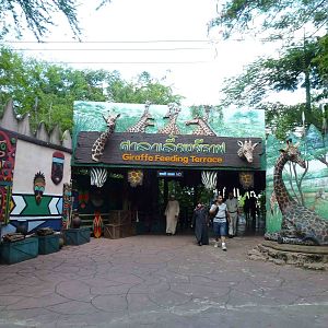 Giraffe feeding platform, June 2013.
