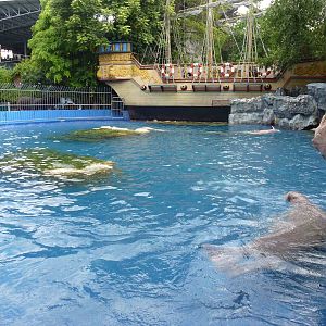 Walrus enclosure, June 2013.