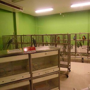 Eggs world - Nursery, June 2013.