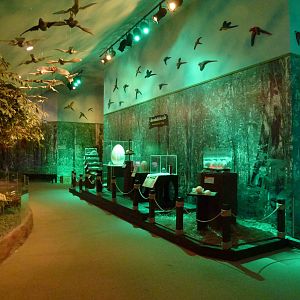 Eggs world, June 2013.