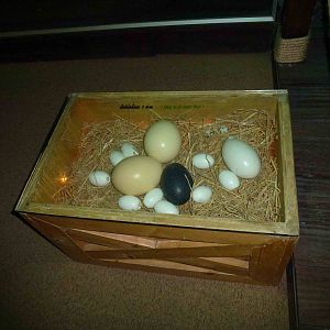 Eggs world - inventive stool, June 2013.