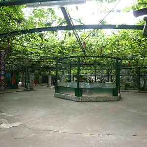 Reptile enclosures, June 2013.