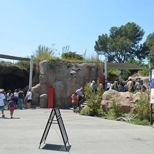 Sea Life Cliffs - Second Terrace